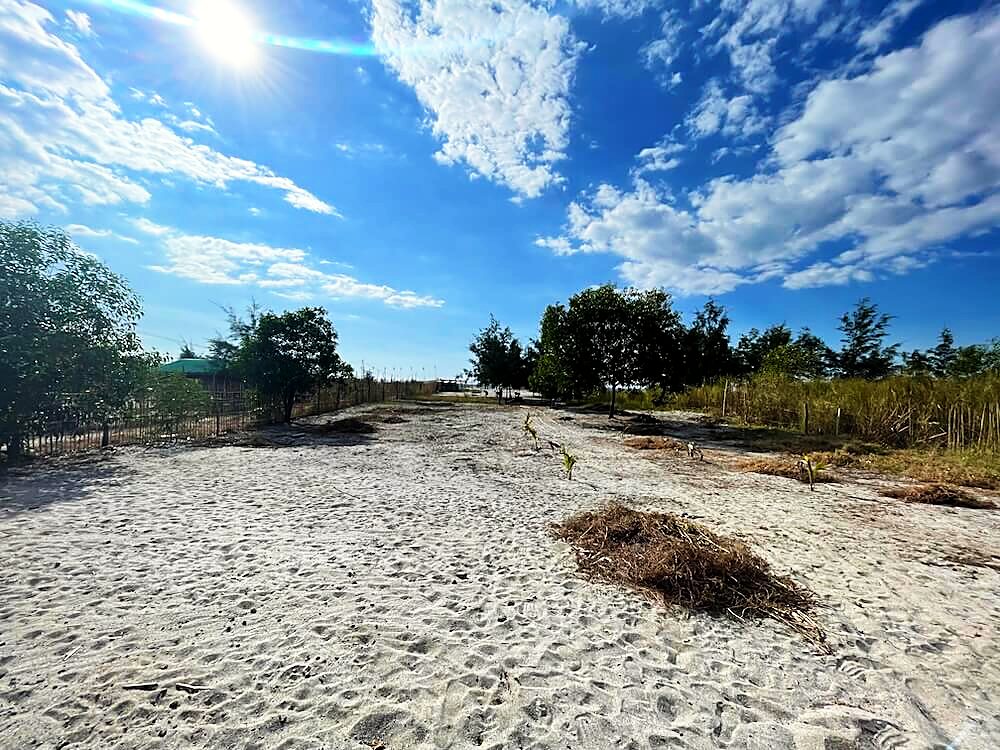 Bare land by the sea at Liwliwa before anything was built